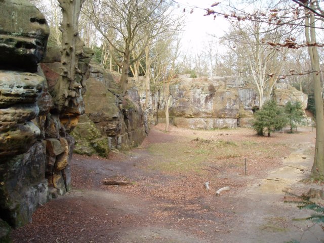 p3190154.jpg