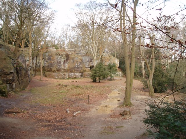 p3190155.jpg