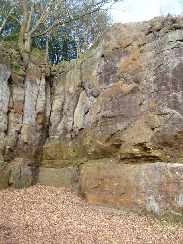 p3190162.jpg
