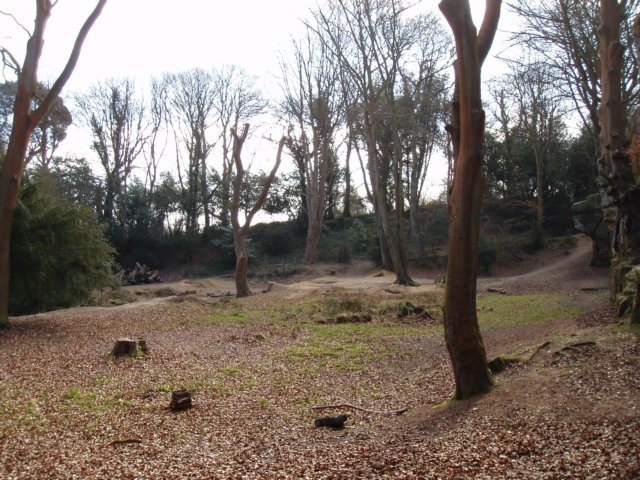 p3190165.jpg