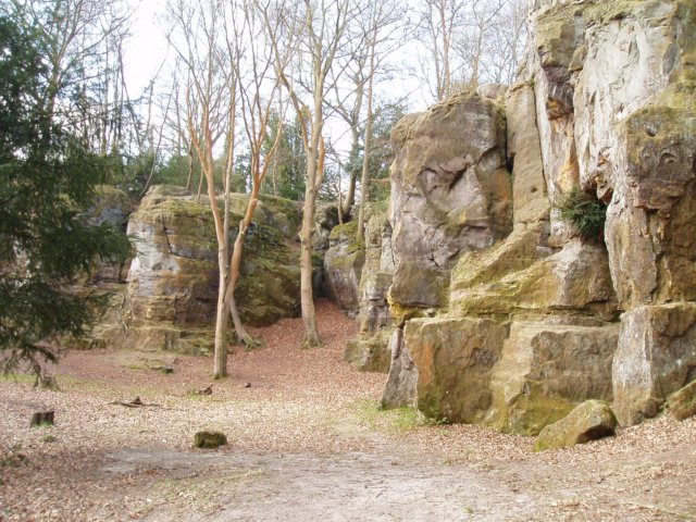 p3190176.jpg