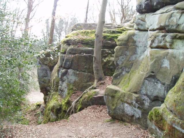 p3190178.jpg