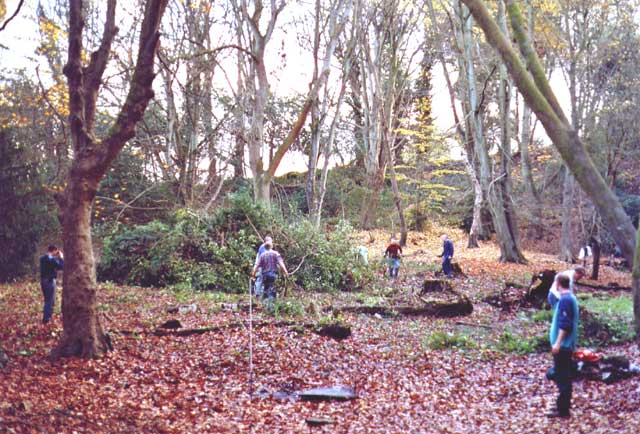 Looking out from Bramble Corner after the scrub clearance