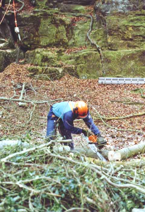 Ground based chainsaw