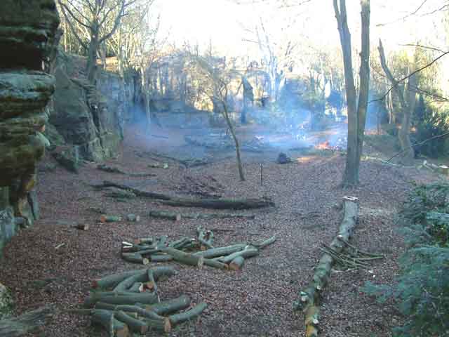 The Hollow as it looks after the work. Larger chunks will be left to form habitat