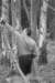 photo10_small.jpg