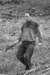 photo7_small.jpg